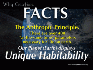 believable-creationism24c